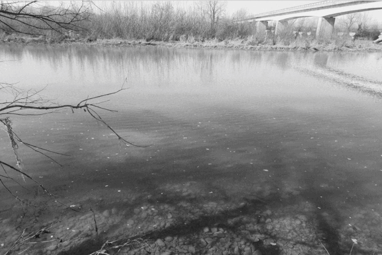 drina